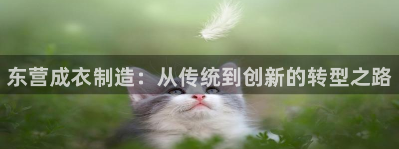 利记平台官网