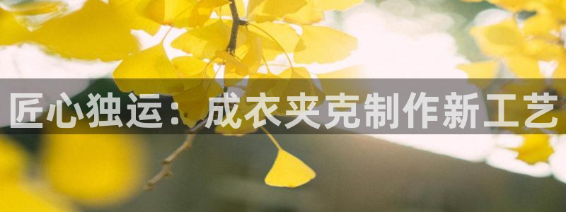 利记sbobet官网电脑版