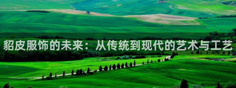 利记官网日亚运比