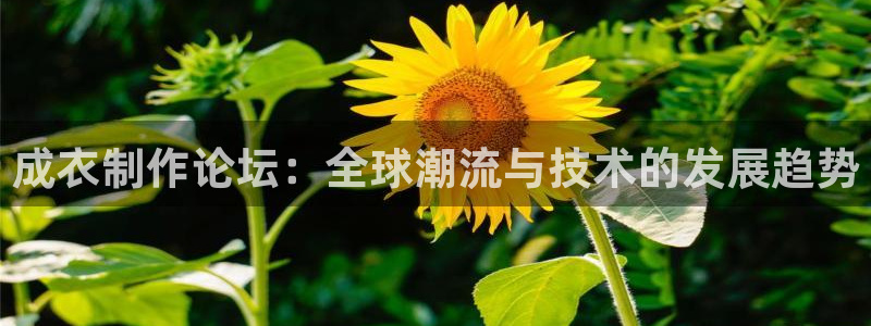 利记科技有限公司官网