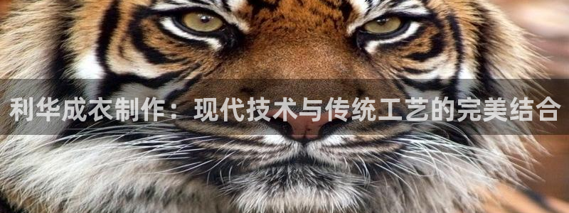 利记官网葡京投注网址