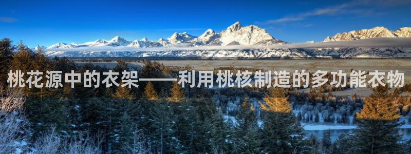 利记体育投注官网
