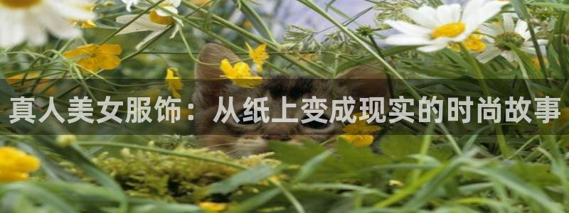 利记app官网入口