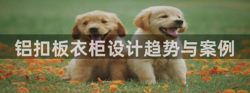 利记厨具官网售后