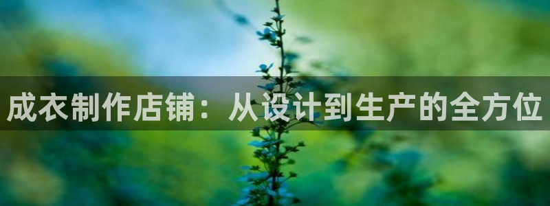 利记二手车行官网