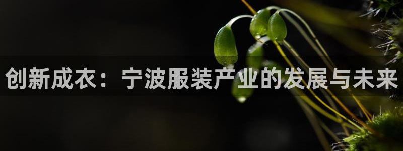 利记bet官网登录入口