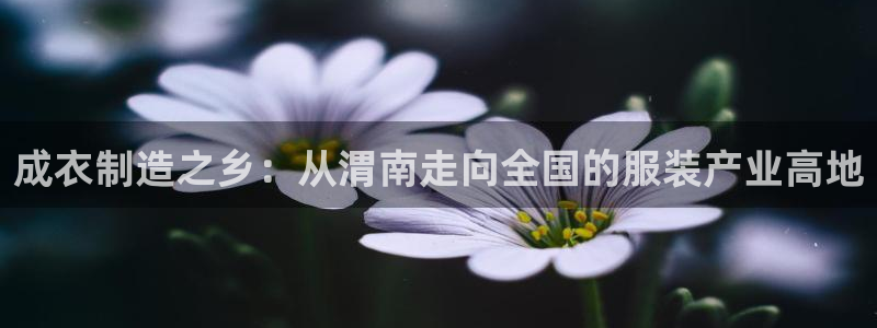 利记官网入口最新版