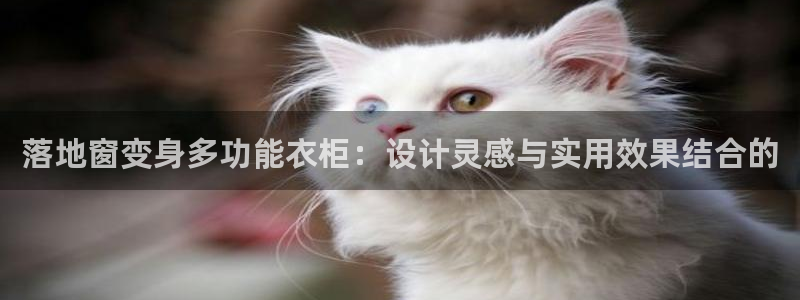 利记游戏开户ysb体育官方官网