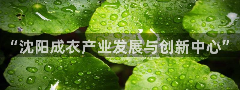 利记坊官网注册账号申请