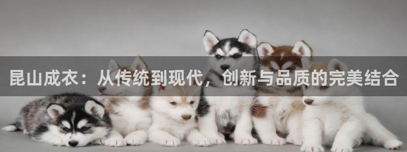 利记官网行业领导者