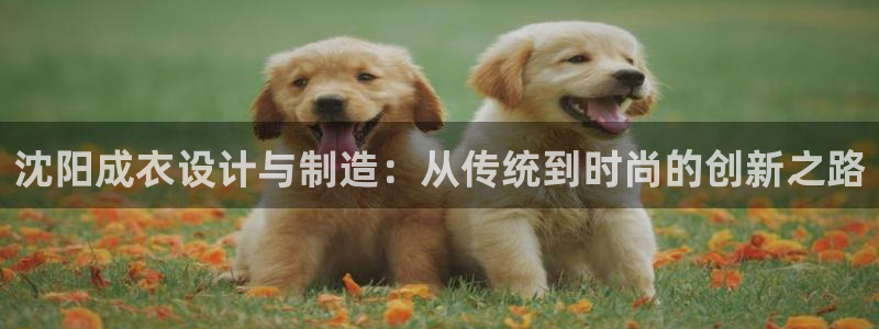 利记厨具官网售后