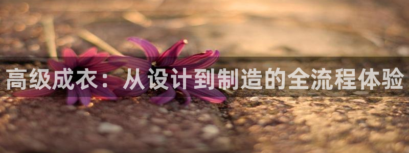 利记官网官方网站