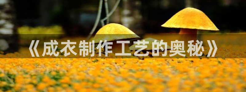 利记彩票导航网址官网hd71