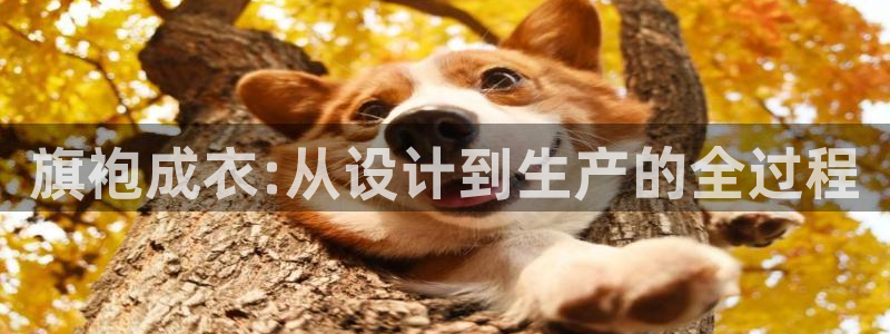 铂利记旗舰店官网