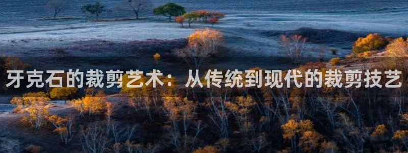 利记二手车行官网