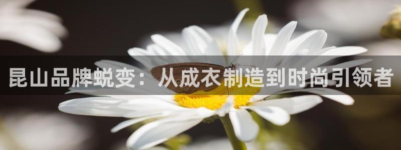 利记官网会员登录